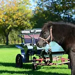 Royal Modlin ホテル Nowy Dwór Mazowiecki