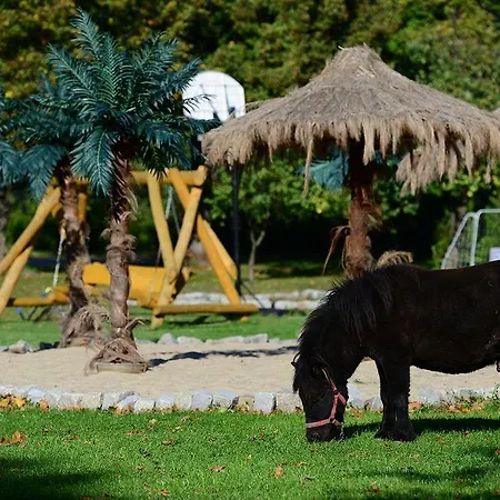 Royal Modlin Hotell 4*