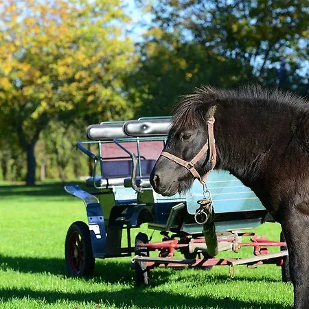 Royal Modlin Hotel Nowy Dwor Mazowiecki