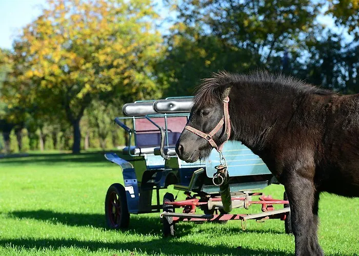 Royal Modlin Ξενοδοχείο Nowy Dwór Mazowiecki